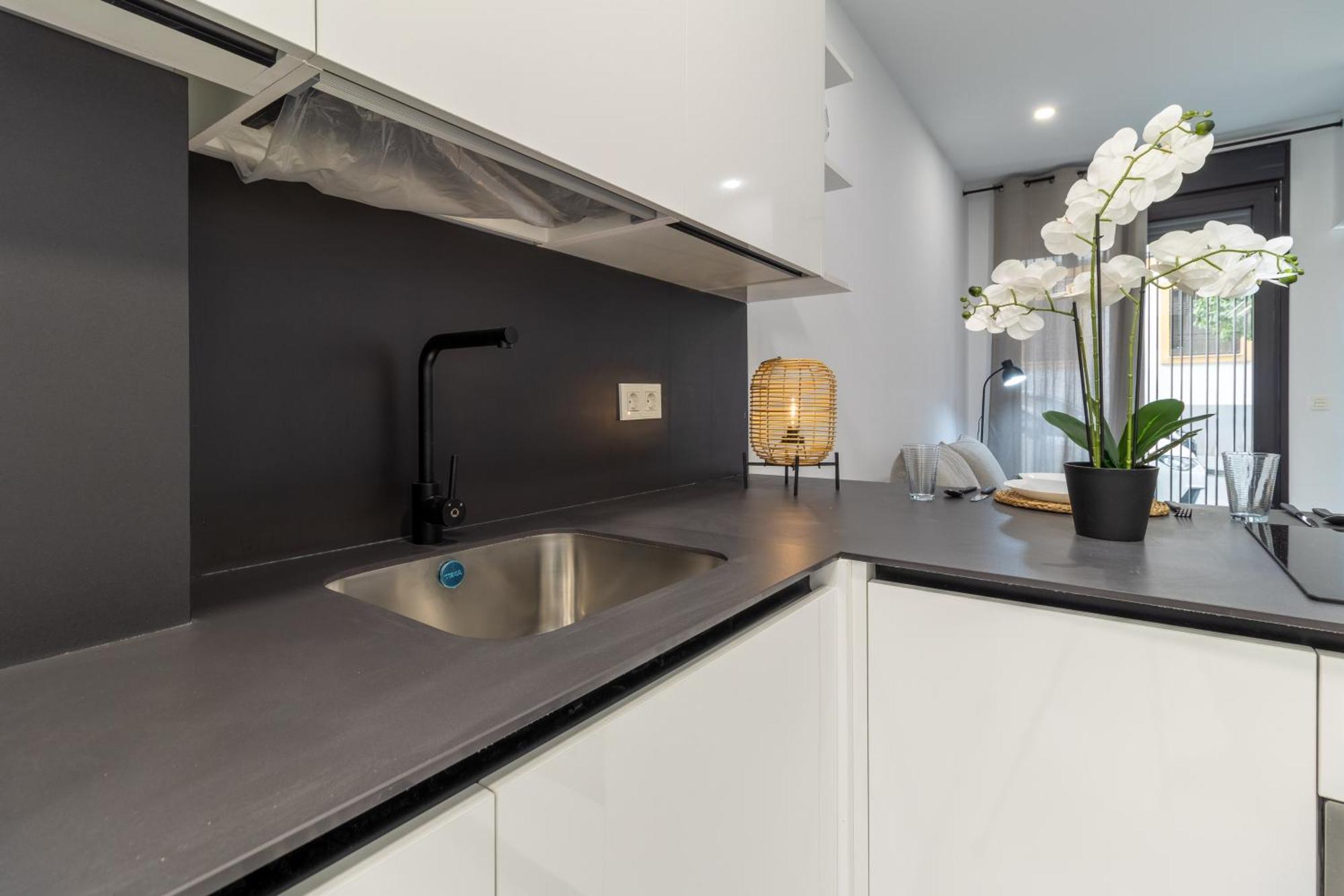 Apartment Loft Miguel Angel *